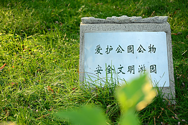 行业洗牌分化加剧净水器迎来浴火重生良机